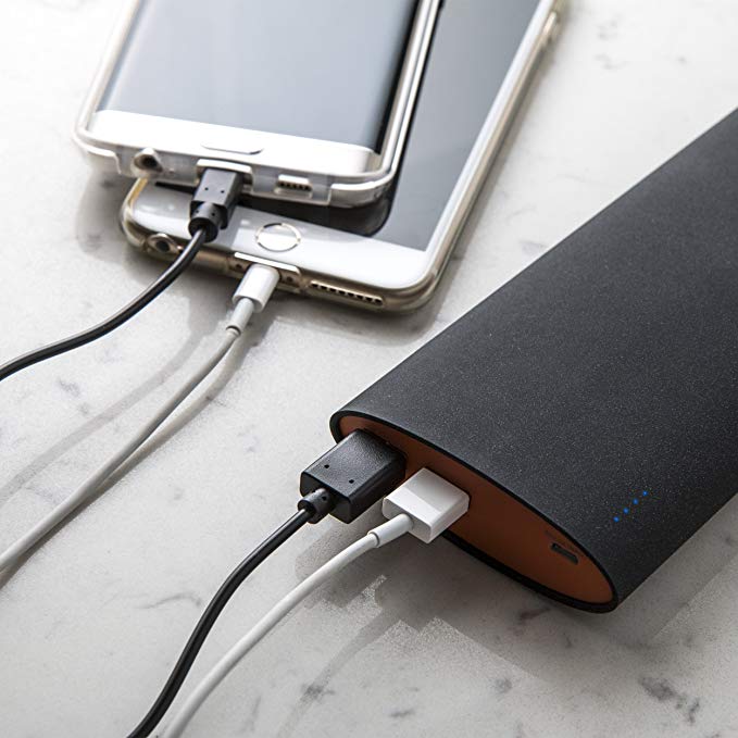 Omega 15600 mAh Portable Charger - Ultra High Capacity Power Bank for Multi-Phone and Tablet Charges